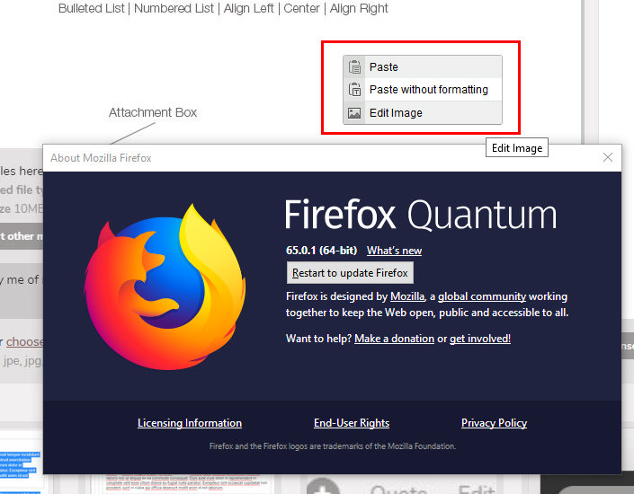 firefox.jpg
