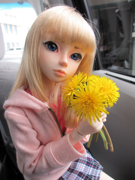Marinette