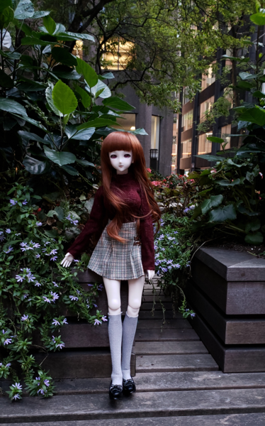 Strolling through the flowers