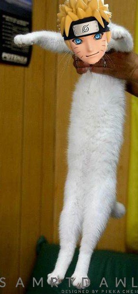 SAMRT_DAWL_Longcat.jpg.1269fbec954706d7503641d58b63a4c9.jpg