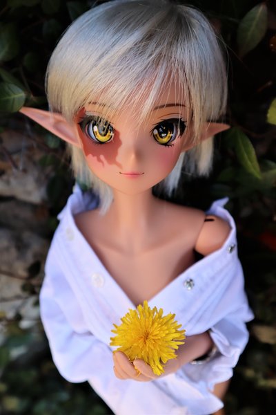 Bellamy Pixie Hair 2