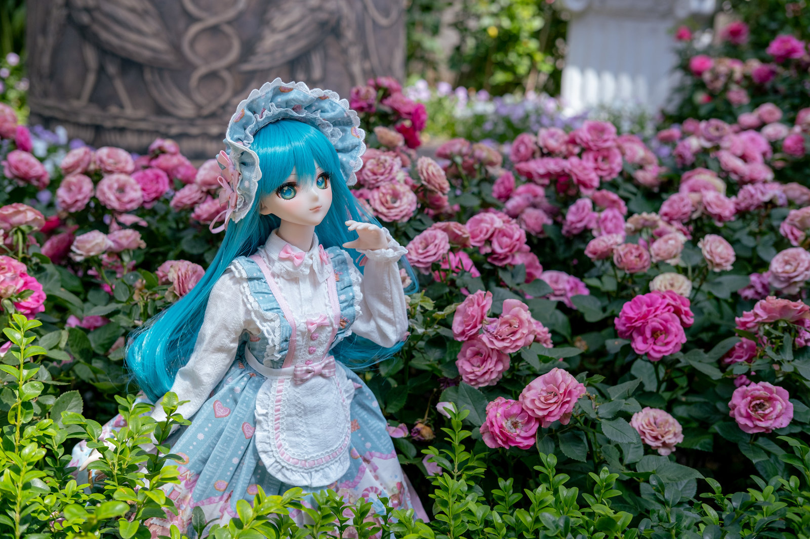 Miku in Rose Garden