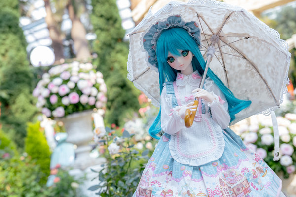 Miku in Rose Romance