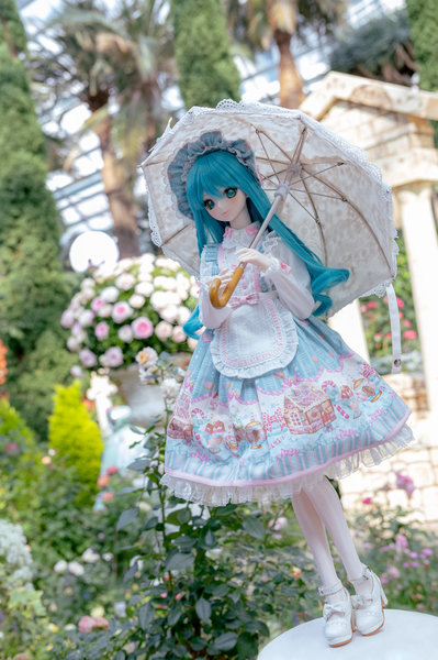 Miku in Rose Romance