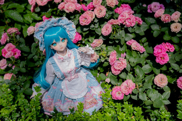 Miku in Rose Garden