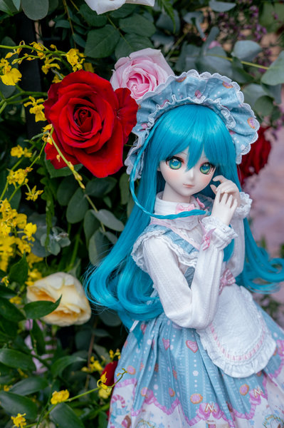 Miku in Rose Garden