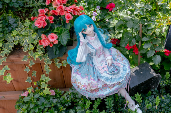 Miku in Rose Garden