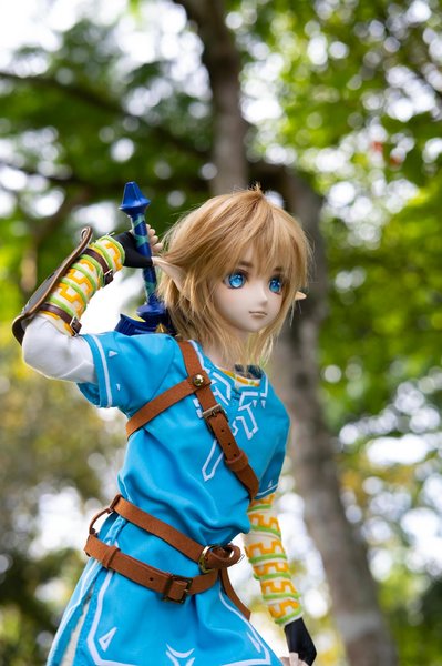 BotW Link