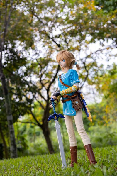 BotW Link