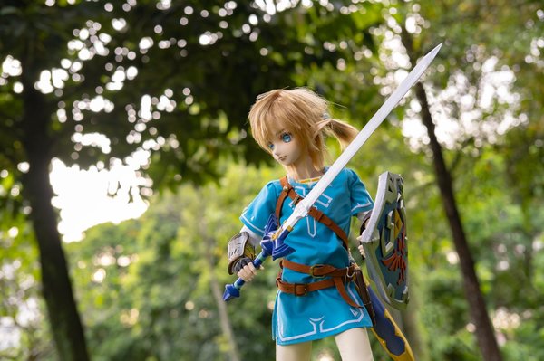BotW Link