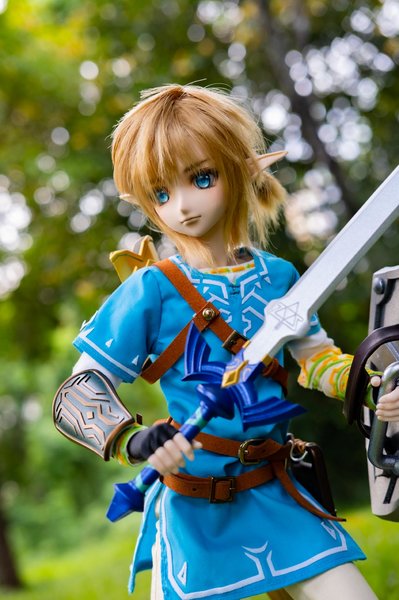 BotW Link
