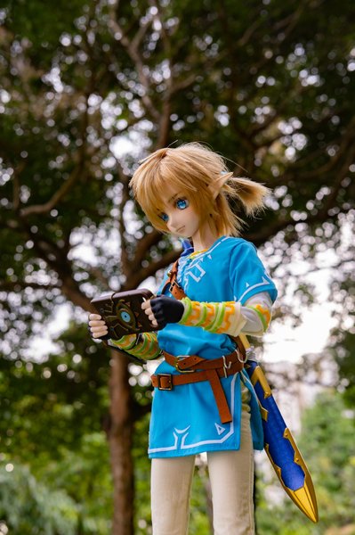 BotW Link