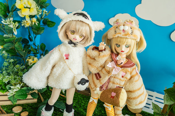 Carnivore & Herbivore