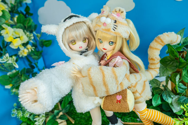 Carnivore & Herbivore