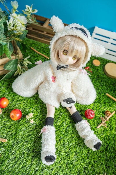 Carnivore & Herbivore