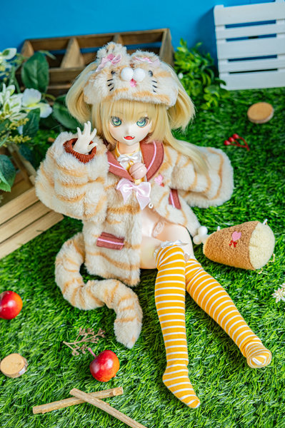 Carnivore & Herbivore