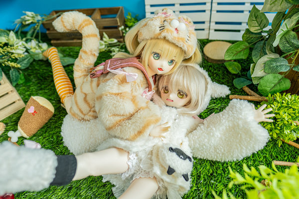 Carnivore & Herbivore