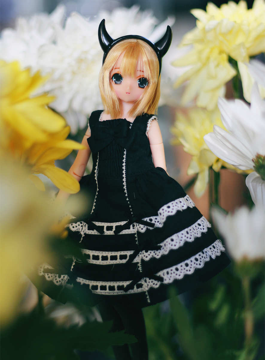 1037162095_lacatalina.png.38f140b161cf40e46c430dcedf961f42.png