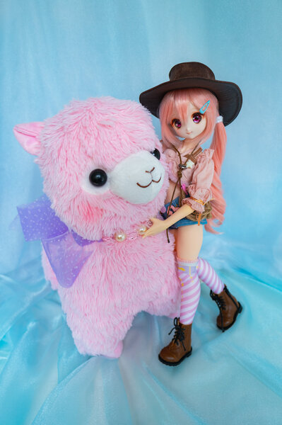 Alpaca Rider Cherry
