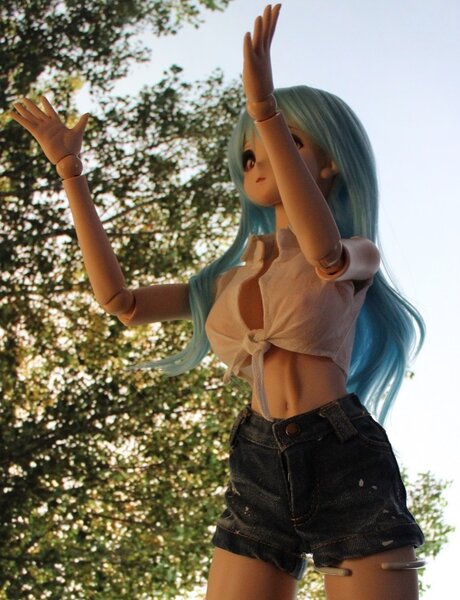 Praise the Sun, Towa.