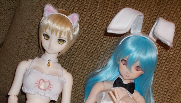 Saber and Towa with sexy kitty and bunny costumes 1
