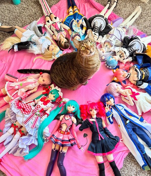 Dollfie Dream Collection Doll Circle