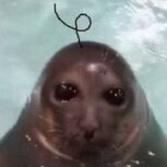 soapbubbleseal