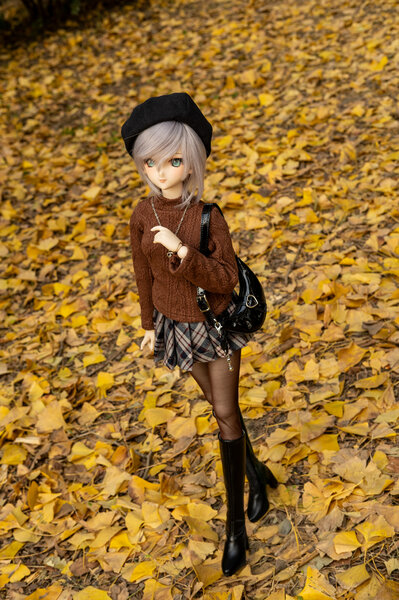 Autumn Ginkgo