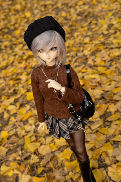 Autumn Ginkgo