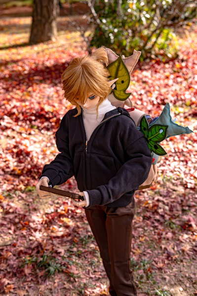 Link in Autumn 🍁