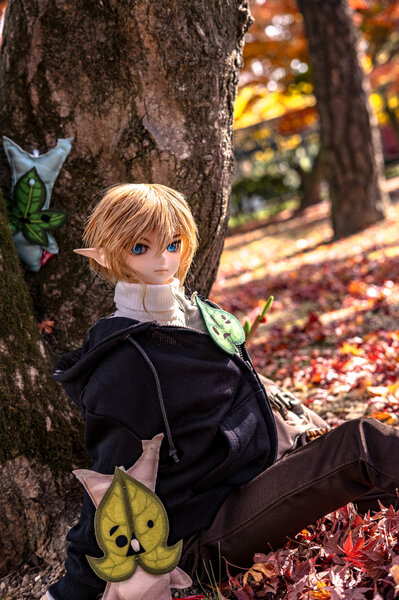 Link in Autumn 🍁