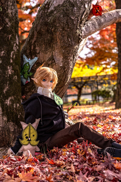 Link in Autumn 🍁