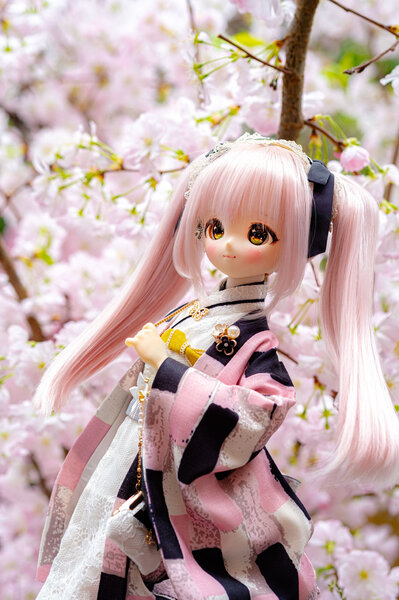 Uyuri with Sakura🌸