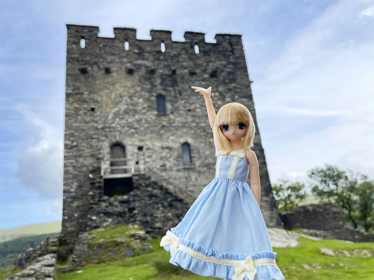 catalinaholiday1.png.fd75783533f2d031b3ba83a29ff7008e.png