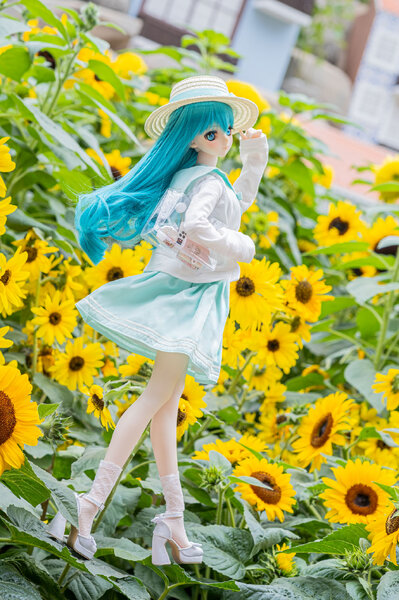 Miku in Sunflower Field 🌻