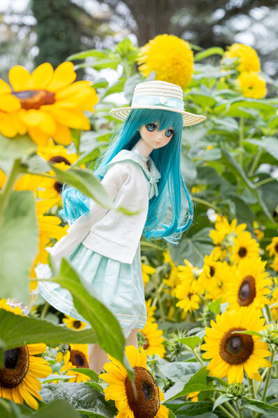 Miku in Sunflower Field 🌻